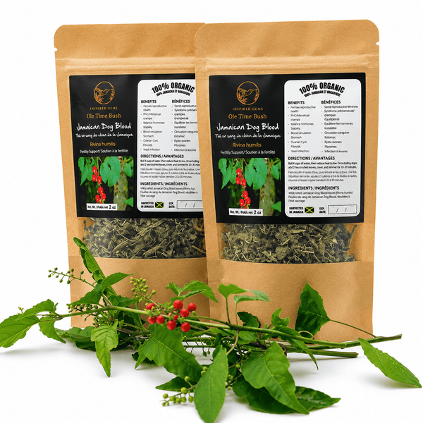 Jamaican Dog Blood Bush Tea | Reproductive Health-Fertility Tea -Avail in US & Canada - Inspired Trading