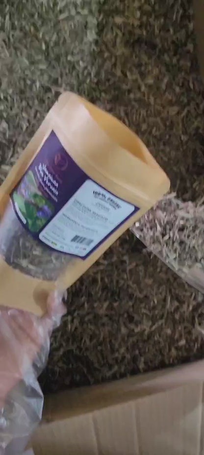 Authentic Jamaican Blue Vervain | The Natural Nerve Settler - Ship in 24hrs- Available in US & CA